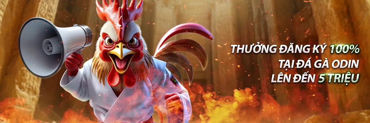 Hình ảnh nền các mẹo và chiến lược cá cược trực tuyến